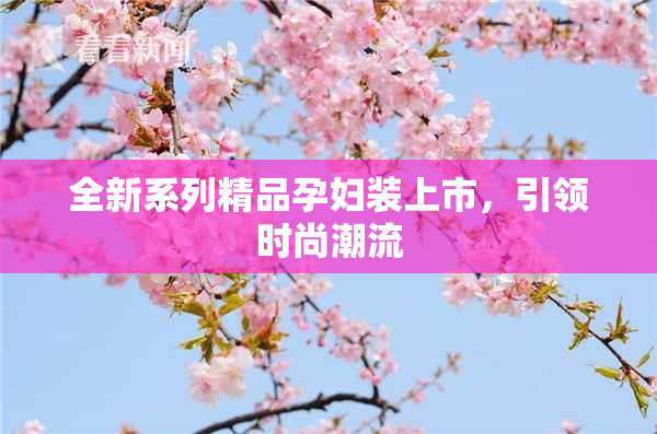 全新系列精品孕妇装上市，引领时尚潮流