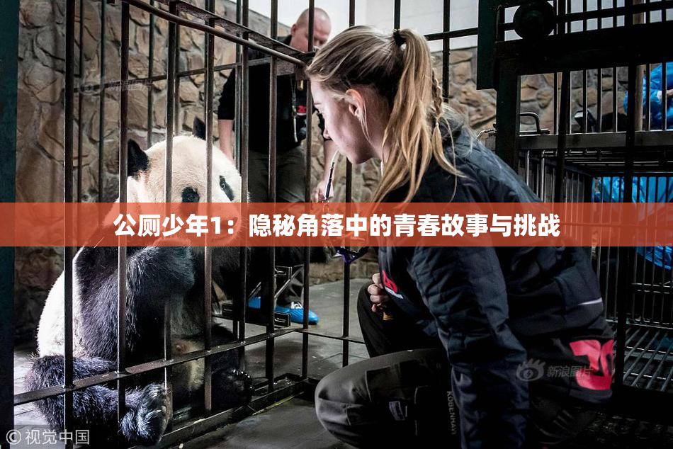 公厕少年1：隐秘角落中的青春故事与挑战