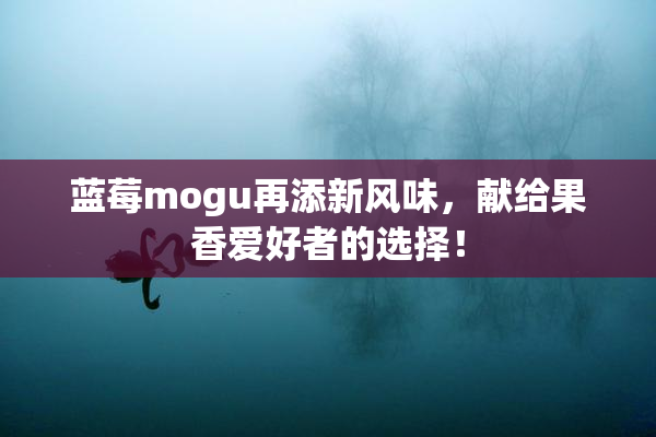 蓝莓mogu再添新风味，献给果香爱好者的选择！