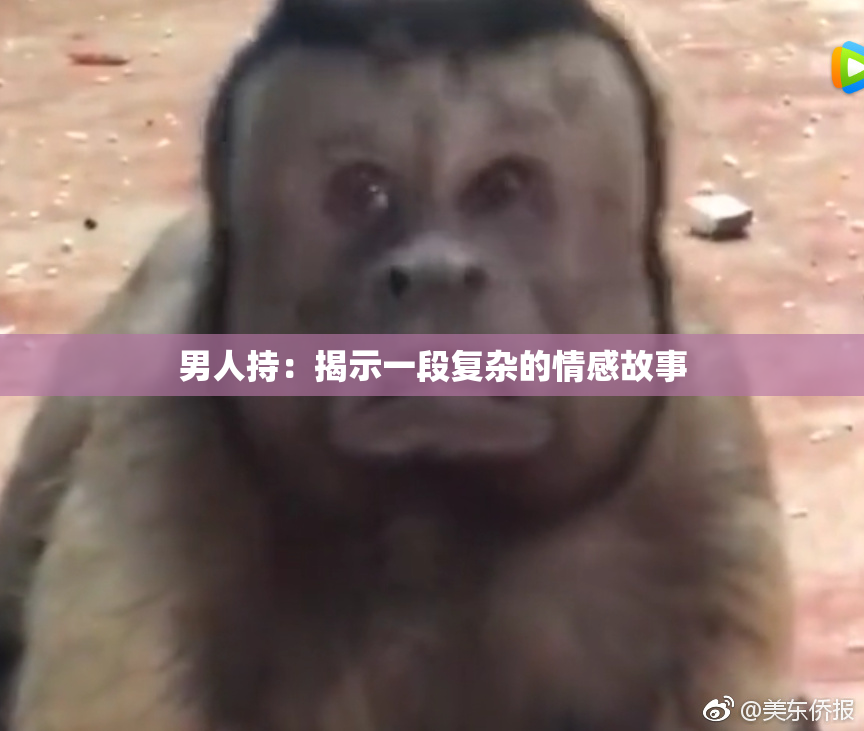 男人持：揭示一段复杂的情感故事