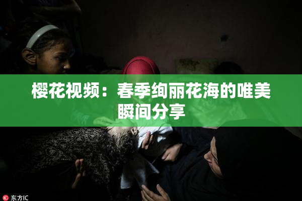 樱花视频：春季绚丽花海的唯美瞬间分享