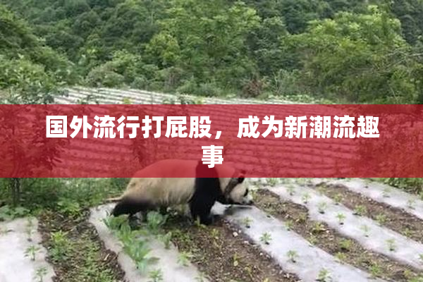 国外流行打屁股，成为新潮流趣事