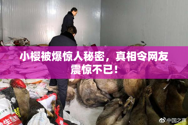 小樱被爆惊人秘密，真相令网友震惊不已！
