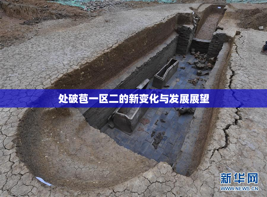 处破苞一区二的新变化与发展展望