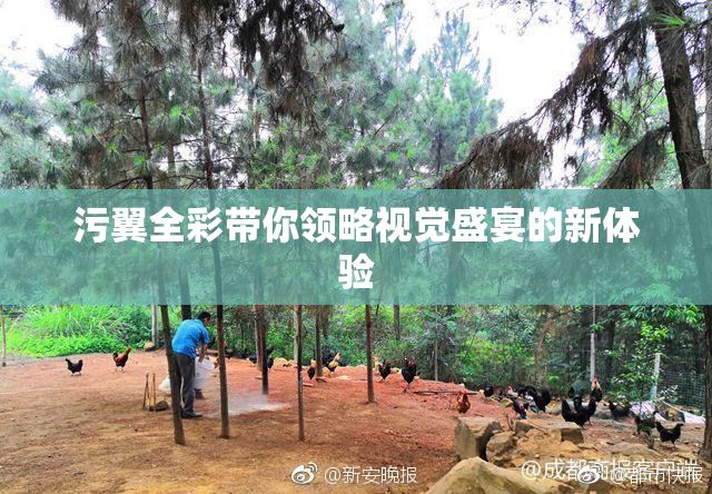 污翼全彩带你领略视觉盛宴的新体验