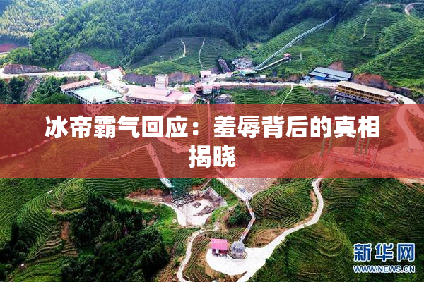 冰帝霸气回应：羞辱背后的真相揭晓