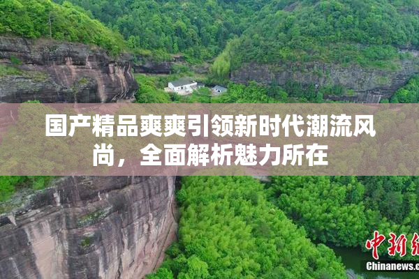 国产精品爽爽引领新时代潮流风尚，全面解析魅力所在