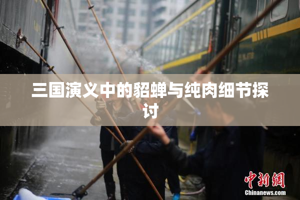 三国演义中的貂蝉与纯肉细节探讨