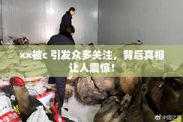 ××被c 引发众多关注，背后真相让人震惊！