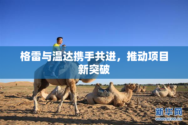 格雷与温达携手共进，推动项目新突破