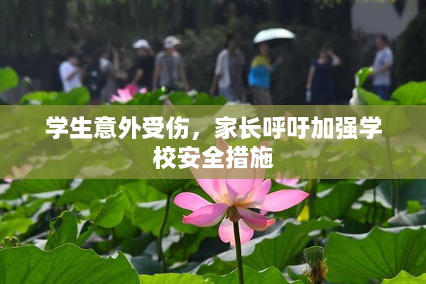 学生意外受伤，家长呼吁加强学校安全措施