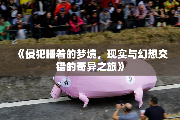 《侵犯睡着的梦境，现实与幻想交错的奇异之旅》
