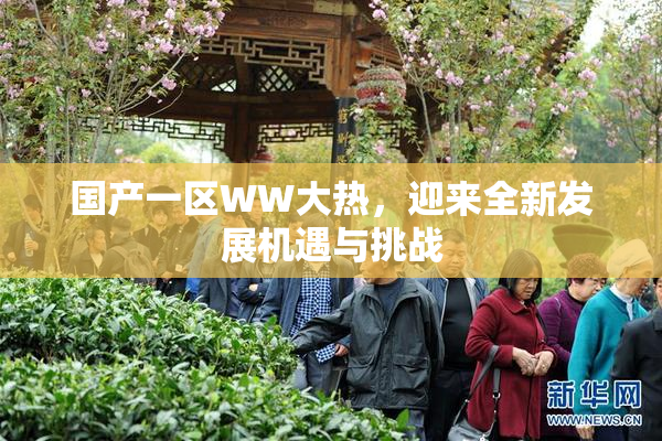国产一区WW大热，迎来全新发展机遇与挑战