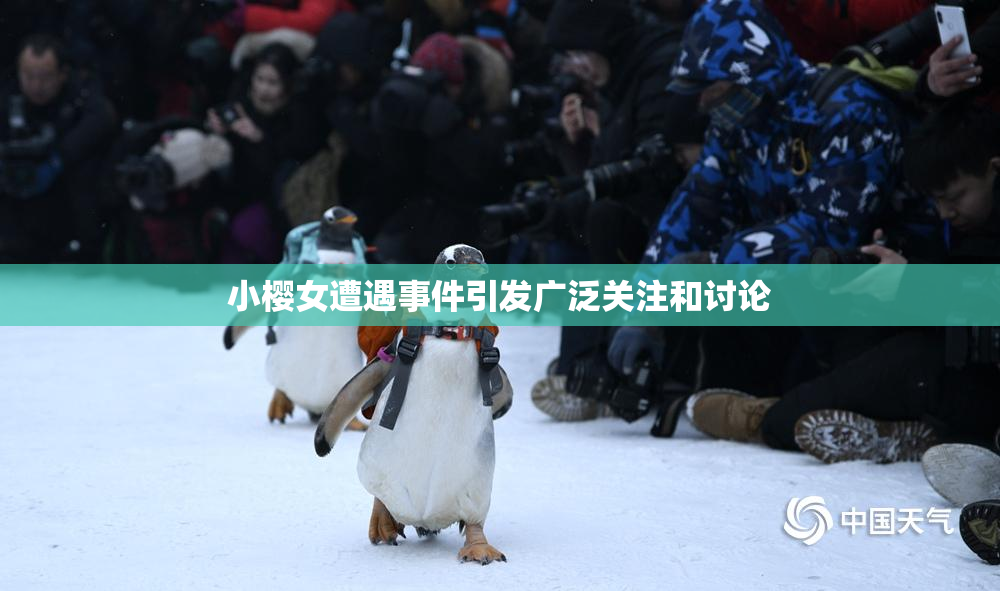 小樱女遭遇事件引发广泛关注和讨论