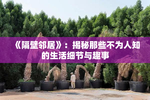 《隔壁邻居》：揭秘那些不为人知的生活细节与趣事