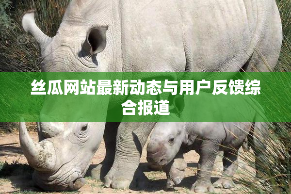 丝瓜网站最新动态与用户反馈综合报道