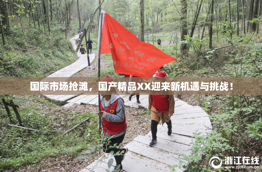 国际市场抢滩，国产精品XX迎来新机遇与挑战！