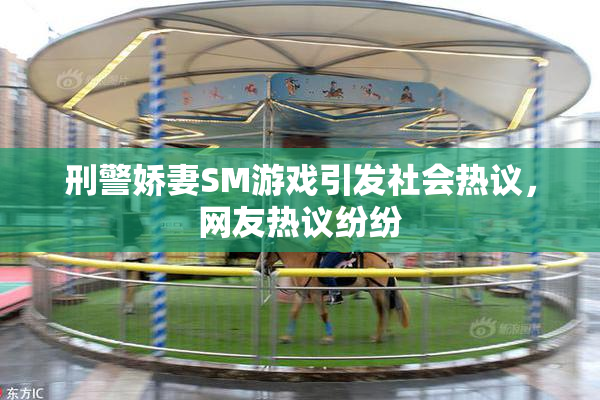 刑警娇妻SM游戏引发社会热议，网友热议纷纷