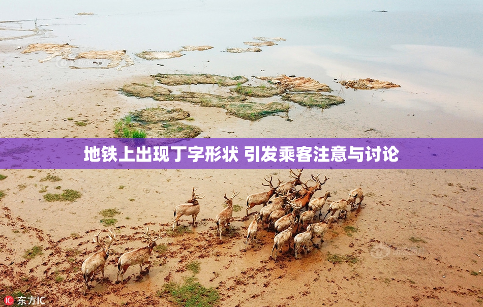 地铁上出现丁字形状 引发乘客注意与讨论