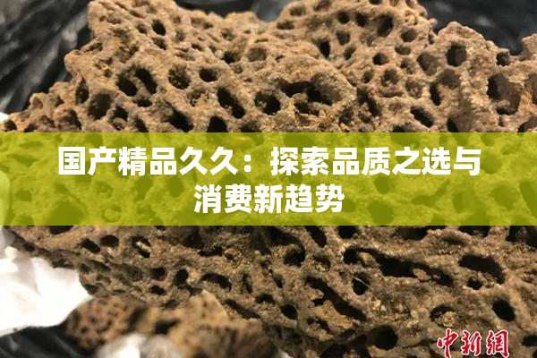 国产精品久久：探索品质之选与消费新趋势