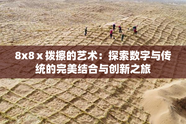 8x8ⅹ拨擦的艺术：探索数字与传统的完美结合与创新之旅