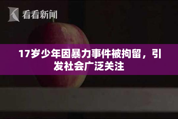17岁少年因暴力事件被拘留，引发社会广泛关注