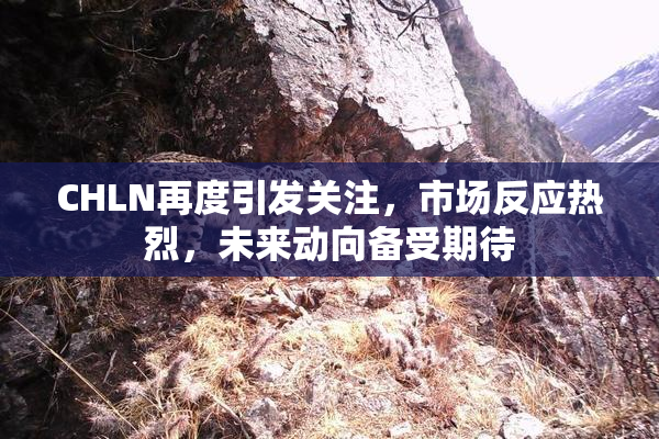 CHLN再度引发关注，市场反应热烈，未来动向备受期待