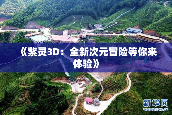 《紫灵3D：全新次元冒险等你来体验》