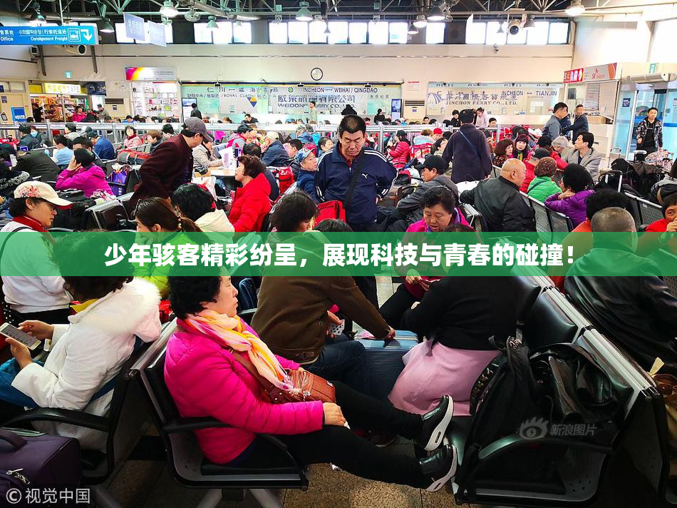 少年骇客精彩纷呈，展现科技与青春的碰撞！