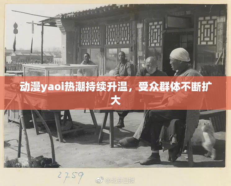 动漫yaoi热潮持续升温，受众群体不断扩大
