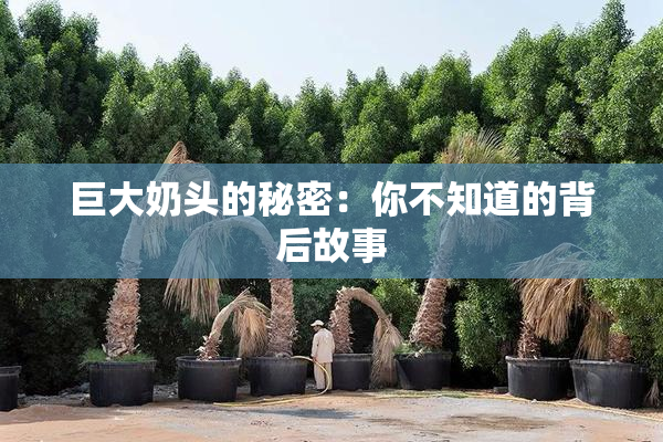 巨大奶头的秘密：你不知道的背后故事