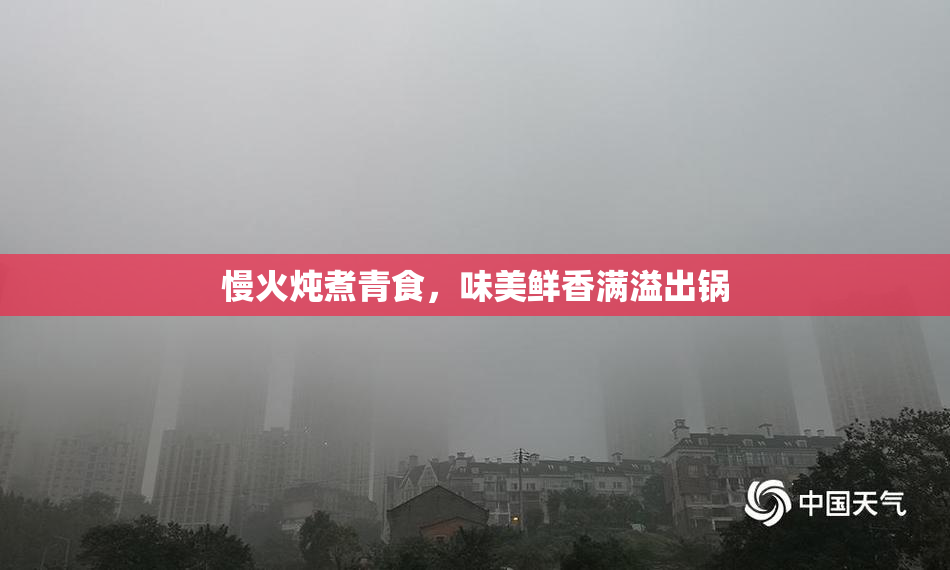 慢火炖煮青食，味美鲜香满溢出锅