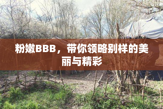 粉嫩BBB，带你领略别样的美丽与精彩