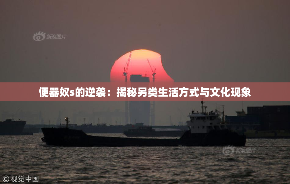 便器奴s的逆袭：揭秘另类生活方式与文化现象