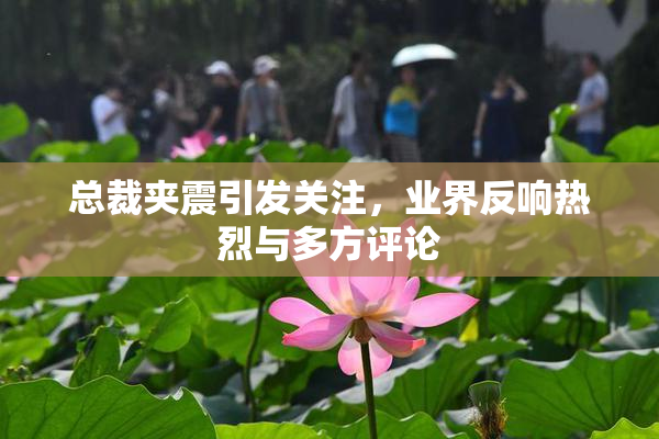 总裁夹震引发关注，业界反响热烈与多方评论