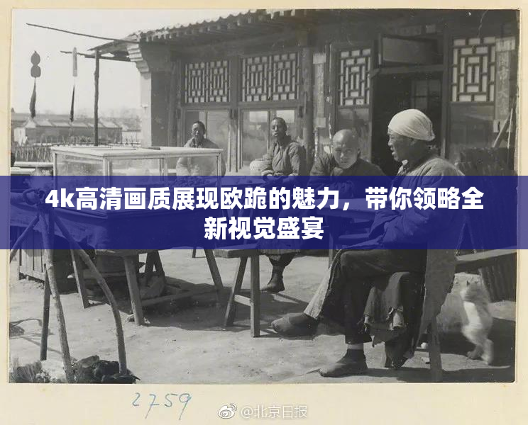 4k高清画质展现欧跪的魅力，带你领略全新视觉盛宴