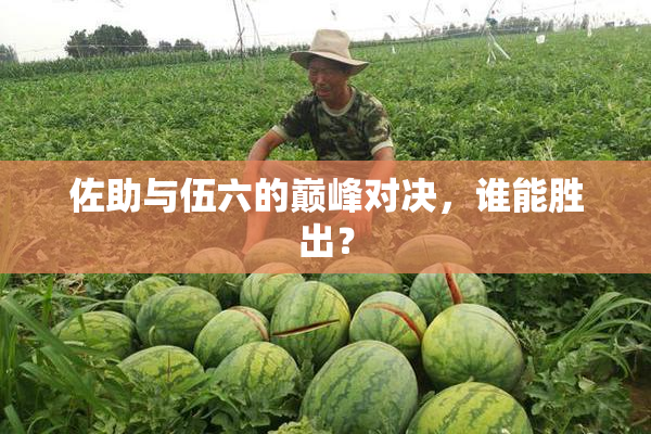 佐助与伍六的巅峰对决，谁能胜出？