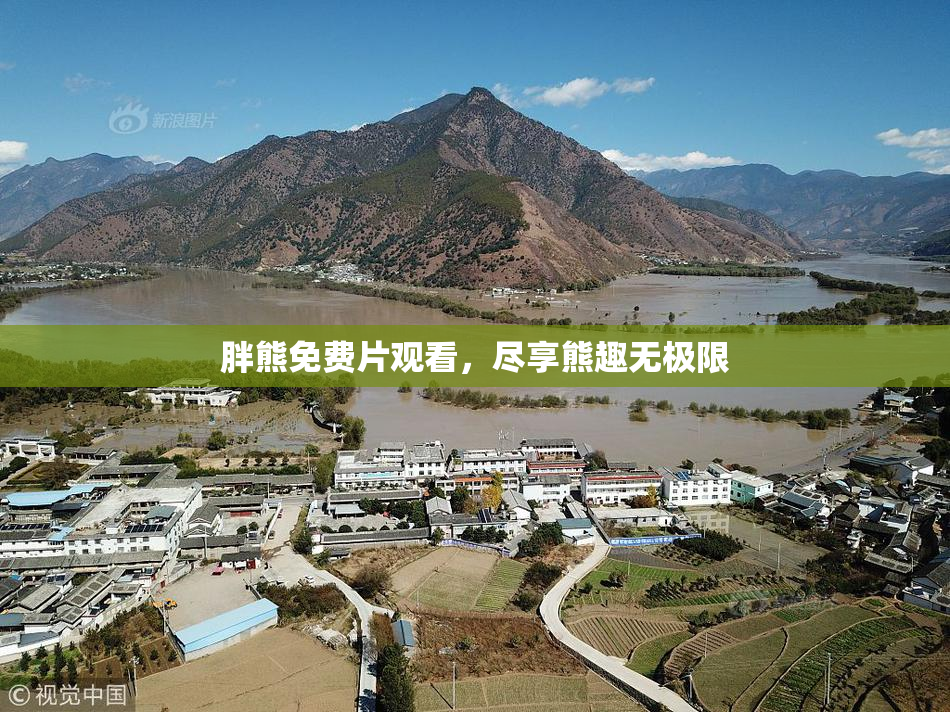 胖熊免费片观看，尽享熊趣无极限