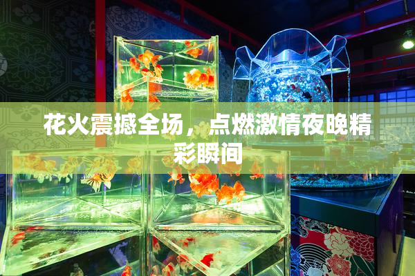 花火震撼全场，点燃激情夜晚精彩瞬间