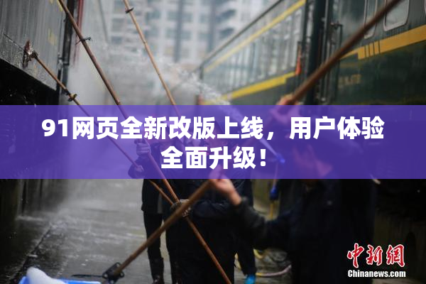 91网页全新改版上线，用户体验全面升级！