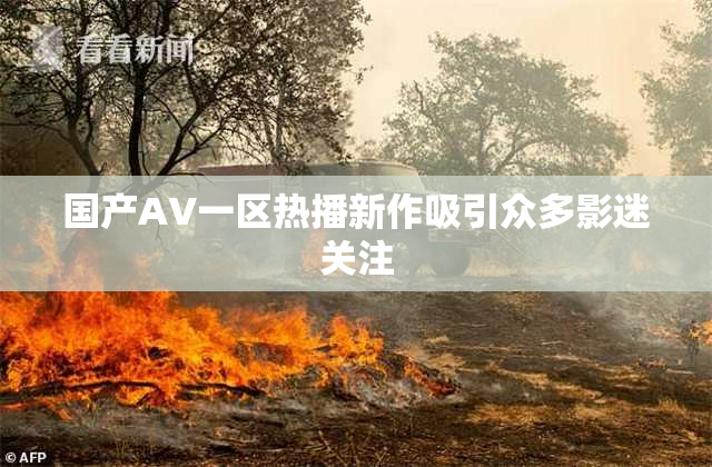 国产AV一区热播新作吸引众多影迷关注
