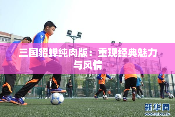 三国貂蝉纯肉版：重现经典魅力与风情