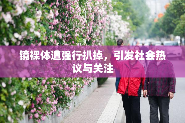 镜裸体遭强行扒掉，引发社会热议与关注