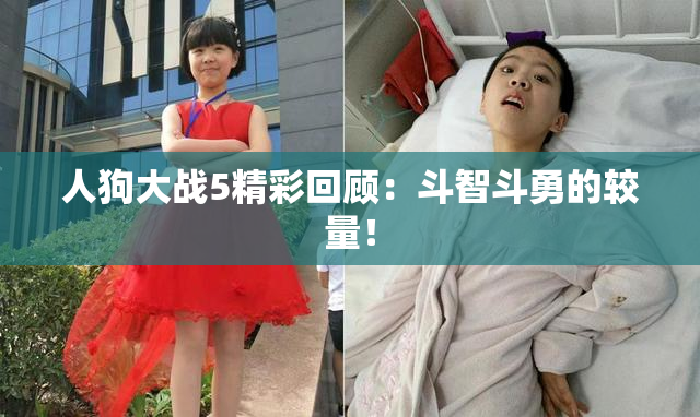 人狗大战5精彩回顾：斗智斗勇的较量！