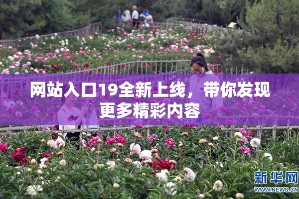网站入口19全新上线，带你发现更多精彩内容