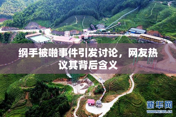 纲手被啪事件引发讨论，网友热议其背后含义