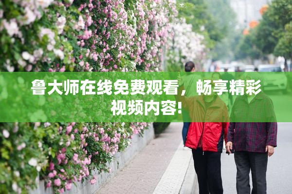 鲁大师在线免费观看，畅享精彩视频内容!