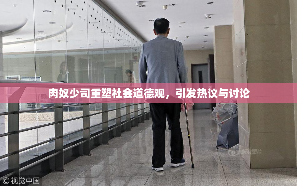 肉奴少司重塑社会道德观，引发热议与讨论