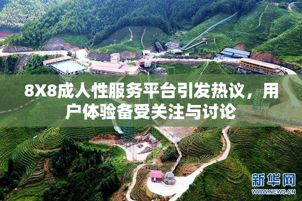 8X8成人性服务平台引发热议，用户体验备受关注与讨论
