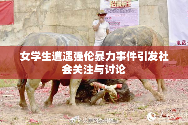 女学生遭遇强伦暴力事件引发社会关注与讨论
